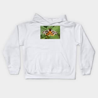 Garden Tiger Moth Photo Kids Hoodie